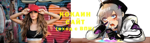 сатива Алзамай