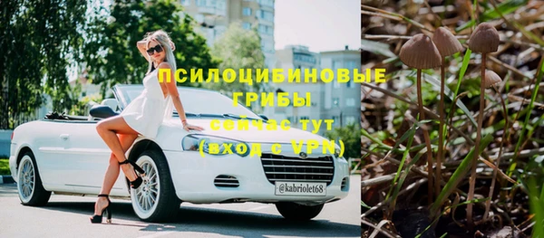 МДПВ Абинск