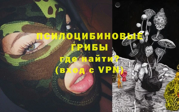 сатива Алзамай