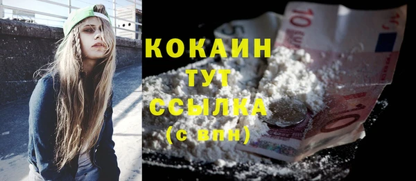мдпв Гусь-Хрустальный