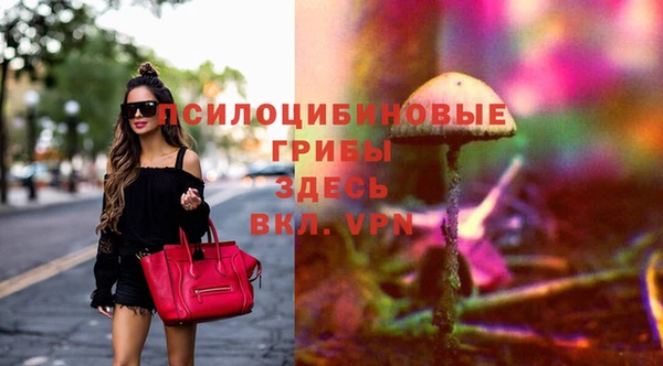 дурь Алексин