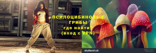дурь Алексин