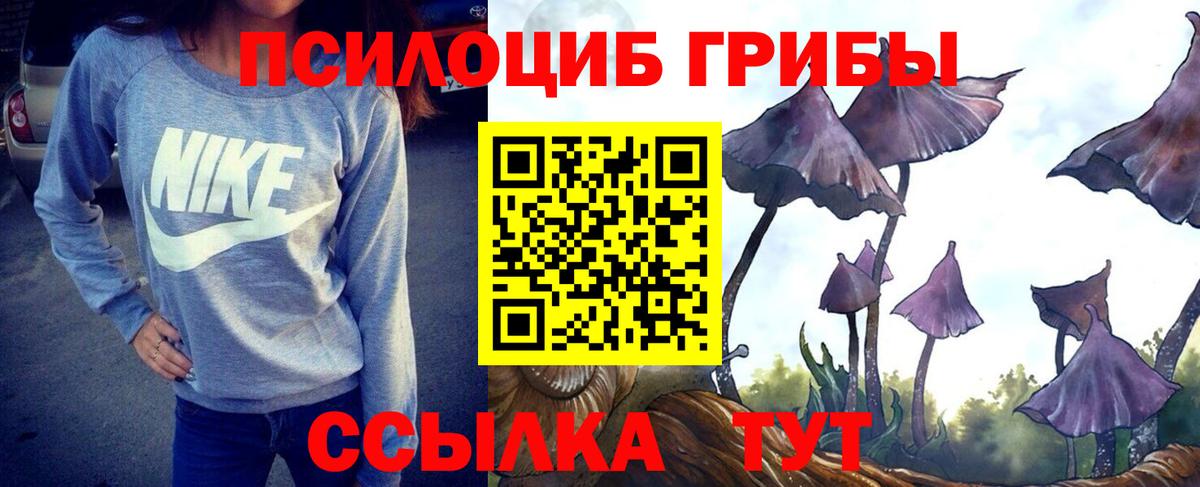 Донской  Галлюциногенные грибы мицелий  Галлюциногенные грибы Magic Shrooms  Вход с VPN 